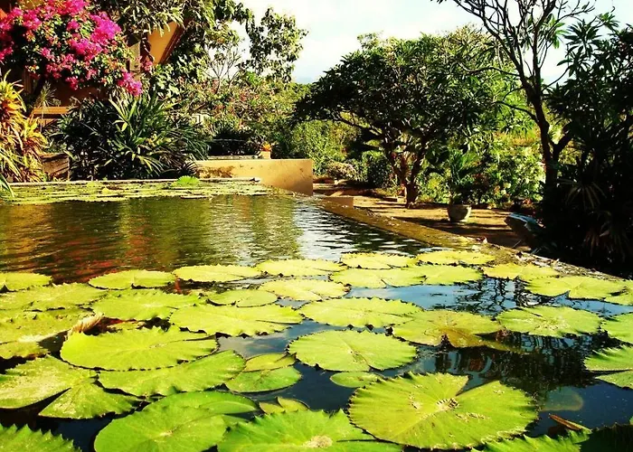 リゾート Zen Bali